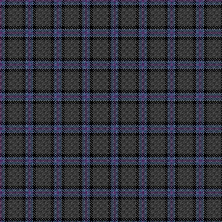 Tartan image: Lord Willy's (New York). Click on this image to see a more detailed version.