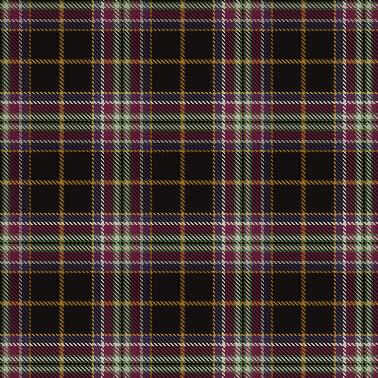 Tartan image: Bird Family (Wales) (Personal). Click on this image to see a more detailed version.