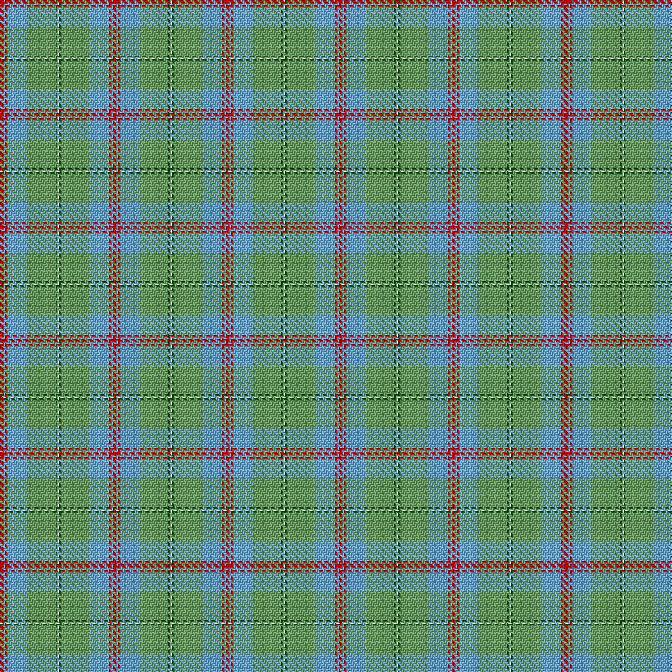 Tartan image: Gift of Life Michigan. Click on this image to see a more detailed version.