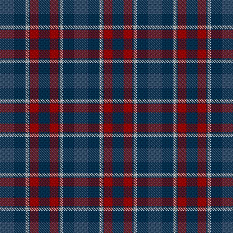 Tartan image: Pitt (Glasgow). Click on this image to see a more detailed version.