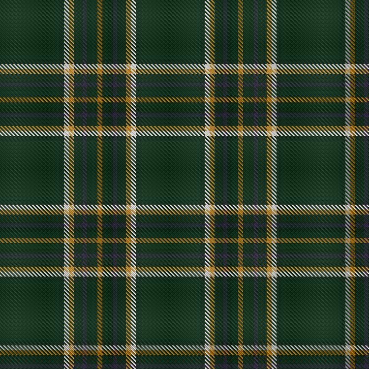 Tartan image: Hayden (Dublin) (Personal). Click on this image to see a more detailed version.
