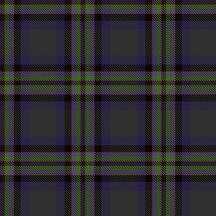 Tartan image: Haut Family (by Dundee). Click on this image to see a more detailed version.