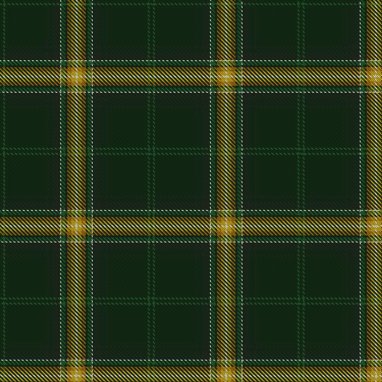 Tartan image: Springbok. Click on this image to see a more detailed version.