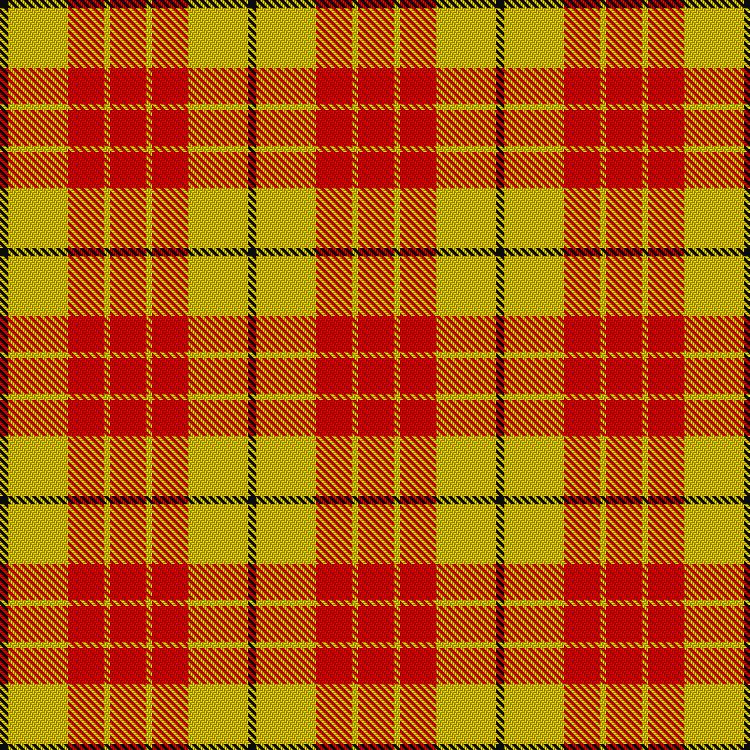 Tartan image: Shire of Hornwood (USA). Click on this image to see a more detailed version.