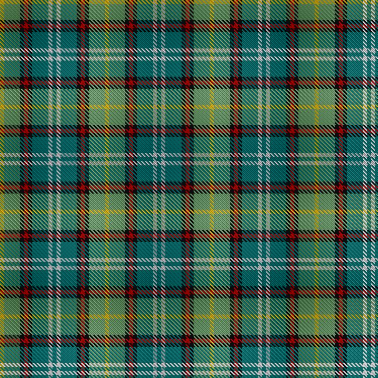 Tartan image: Dunedin (NZ). Click on this image to see a more detailed version.