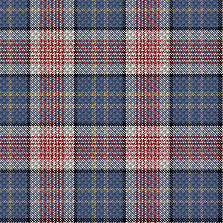Tartan image: Letang Family (Neuilly sur Seine, France) (Personal). Click on this image to see a more detailed version.
