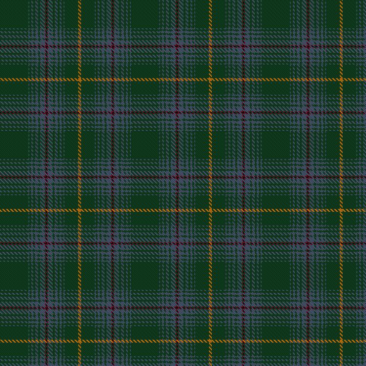 Tartan image: Murphy and his Gang (Phoenix Arizona) (Personal). Click on this image to see a more detailed version.