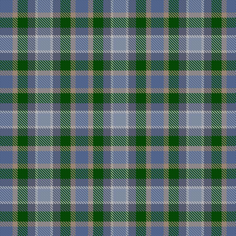 Tartan image: Heriot Bay Local (Quadra Island, British Columbia). Click on this image to see a more detailed version.