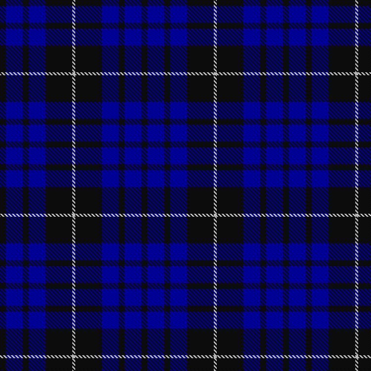 Tartan image: Swan, Brian E. Click on this image to see a more detailed version.