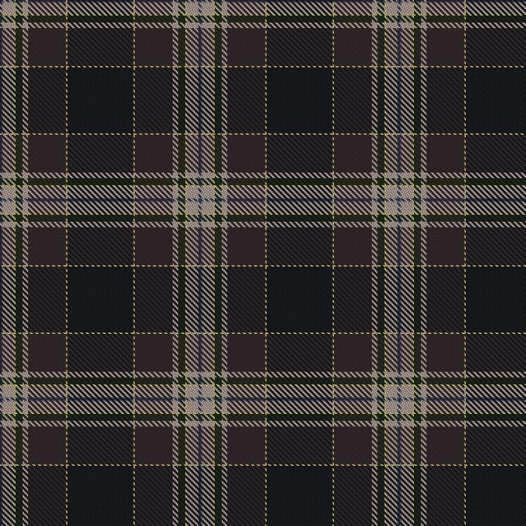 Tartan image: Brighton Mac Dermotte. Click on this image to see a more detailed version.