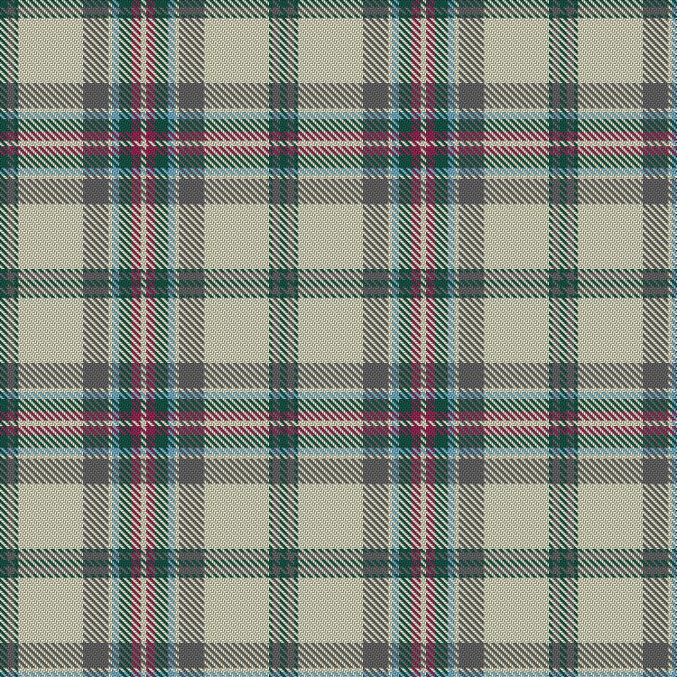 Tartan image: Rikaco Eve. Click on this image to see a more detailed version.
