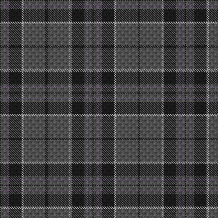 Tartan image: Orkney Slate. Click on this image to see a more detailed version.