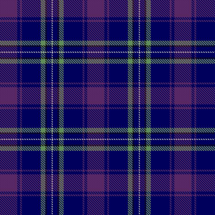 Tartan image: Saint Margaret of Scotland Youth Group. Click on this image to see a more detailed version.