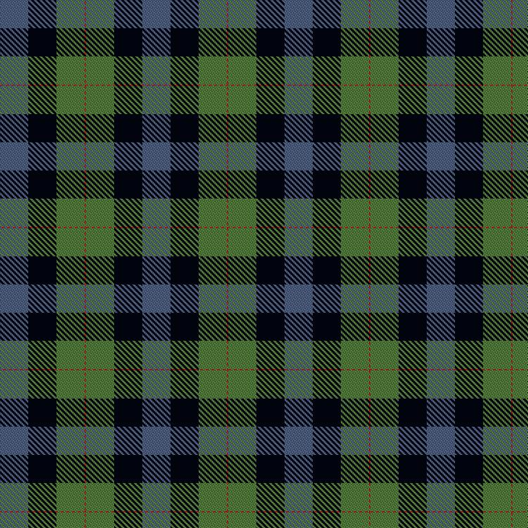 Tartan image: Gunn 2011, Robert (Personal). Click on this image to see a more detailed version.