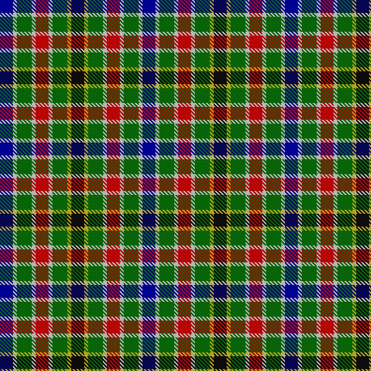Tartan image: Spirit of 1994. Click on this image to see a more detailed version.