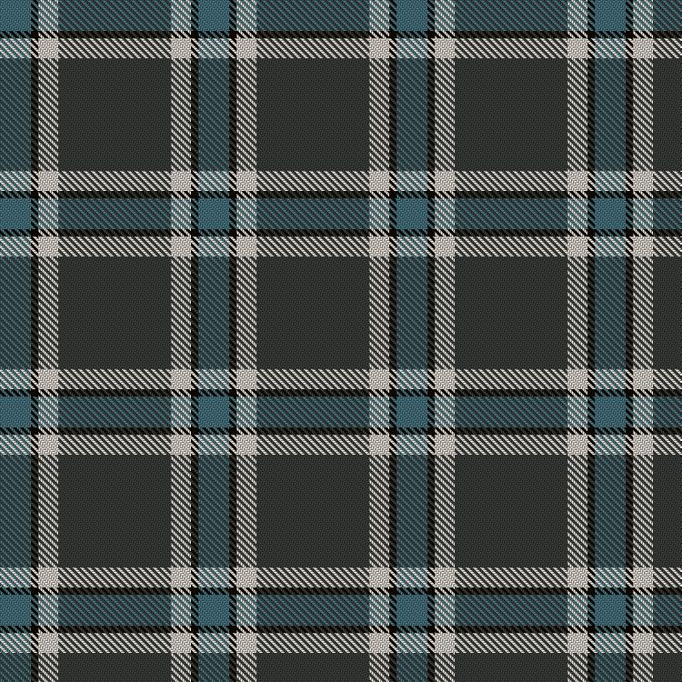 Tartan image: Thunderlord (Celtic Group, USA). Click on this image to see a more detailed version.