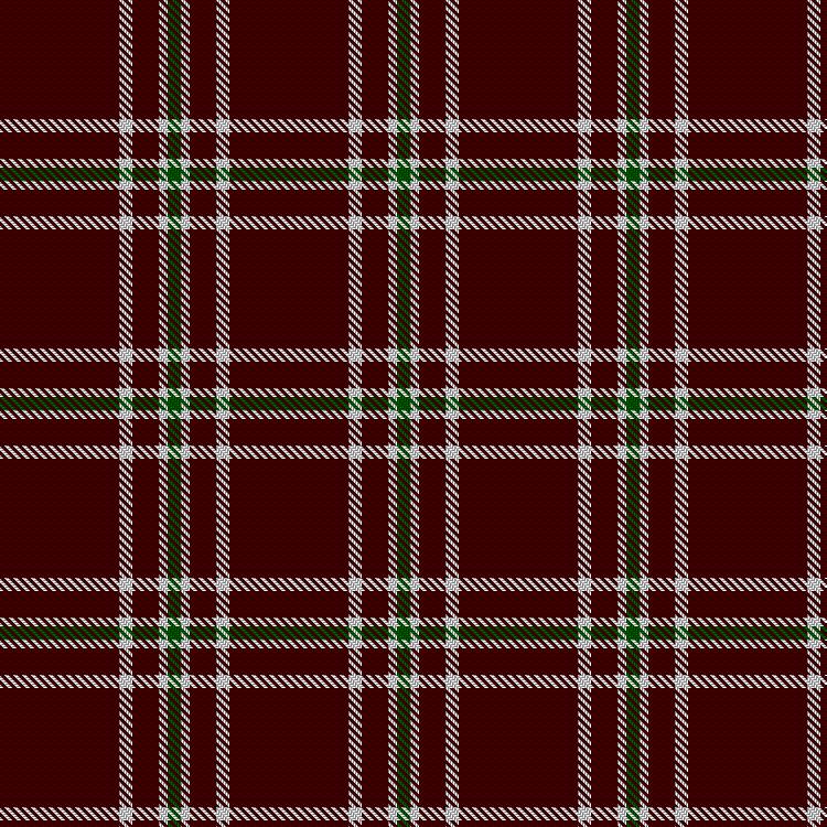 Tartan image: Martin Family, Robert N (Personal). Click on this image to see a more detailed version.