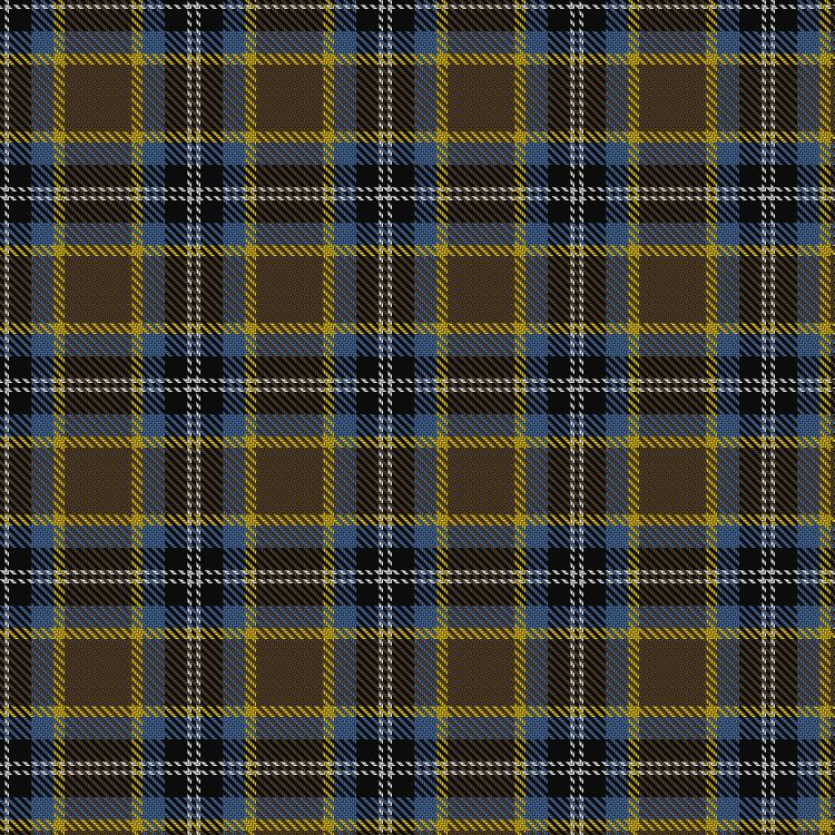 Tartan image: Bryan Wedding (Personal). Click on this image to see a more detailed version.