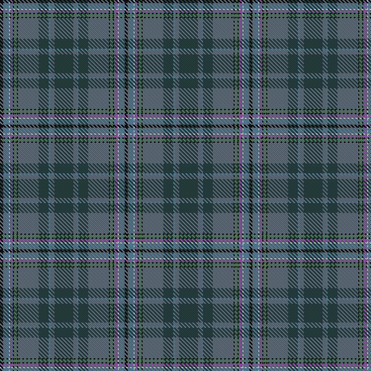 Tartan image: Causeway, The. Click on this image to see a more detailed version.