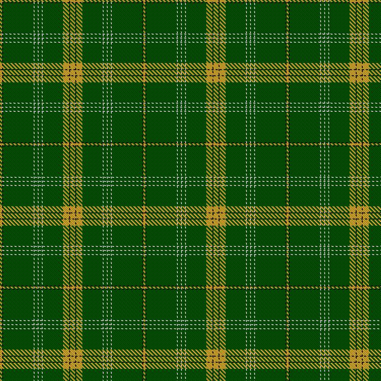 Tartan image: Delta Lambda Phi. Click on this image to see a more detailed version.