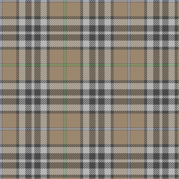 Tartan image: Delta Dental Association. Click on this image to see a more detailed version.