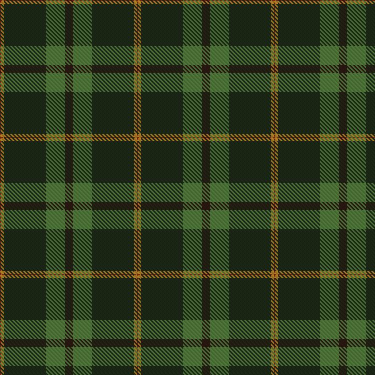 Tartan image: Nolan Family, John J (Personal). Click on this image to see a more detailed version.
