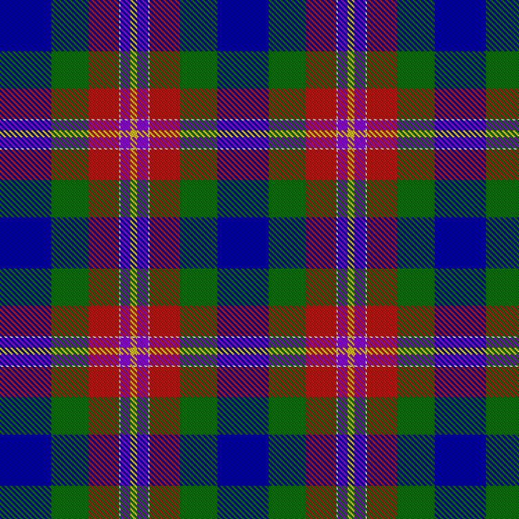 Tartan image: Palazzo Bloise (Personal). Click on this image to see a more detailed version.