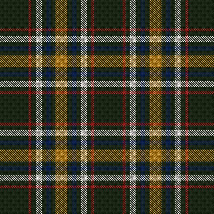 Tartan image: St Patrick's Krewe. Click on this image to see a more detailed version.