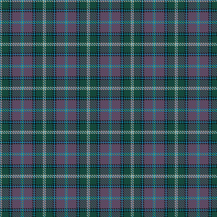 Tartan image: Hek Family (Sunningdale, Berwick on Tweed). Click on this image to see a more detailed version.