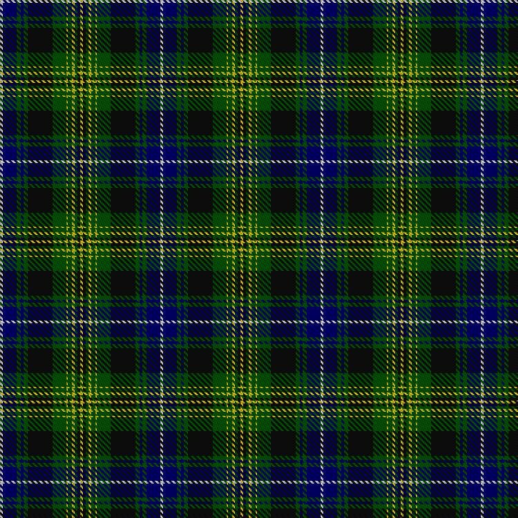 Tartan image: O'Doherty (Glasgow) (Personal). Click on this image to see a more detailed version.