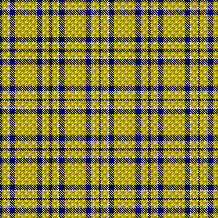 Tartan image: WVU Mountaineer Tartan. Click on this image to see a more detailed version.