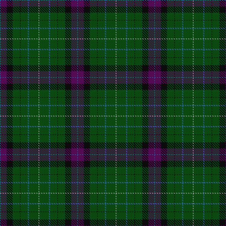 Tartan image: Faskin Family (Aberdeenshire). Click on this image to see a more detailed version.