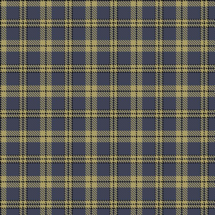 Tartan image: Stutterheim. Click on this image to see a more detailed version.