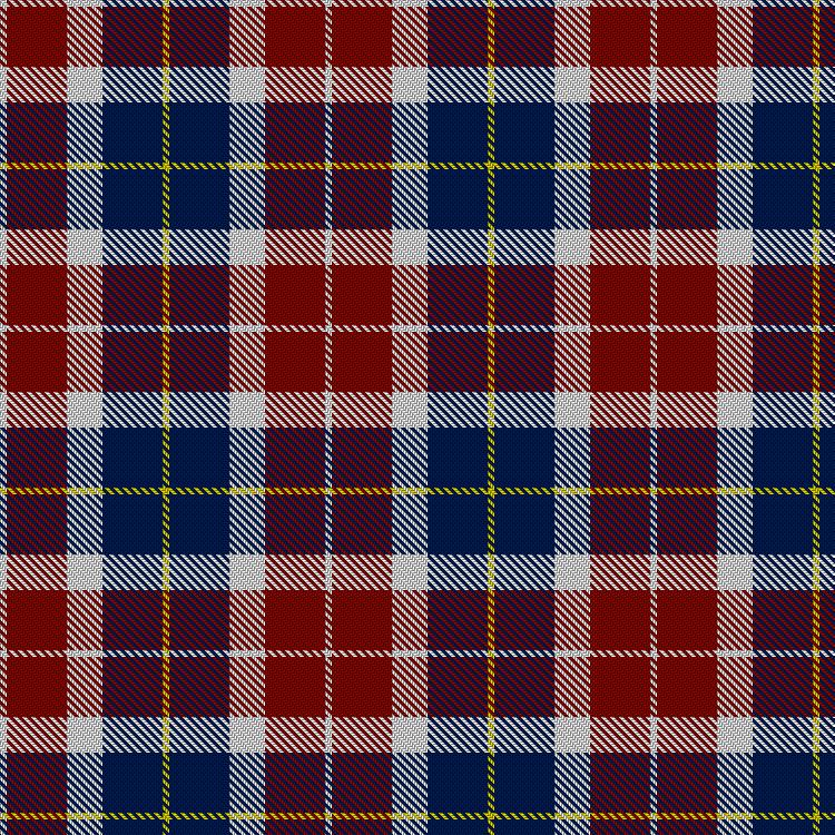 Tartan image: Common Ground (Dress). Click on this image to see a more detailed version.