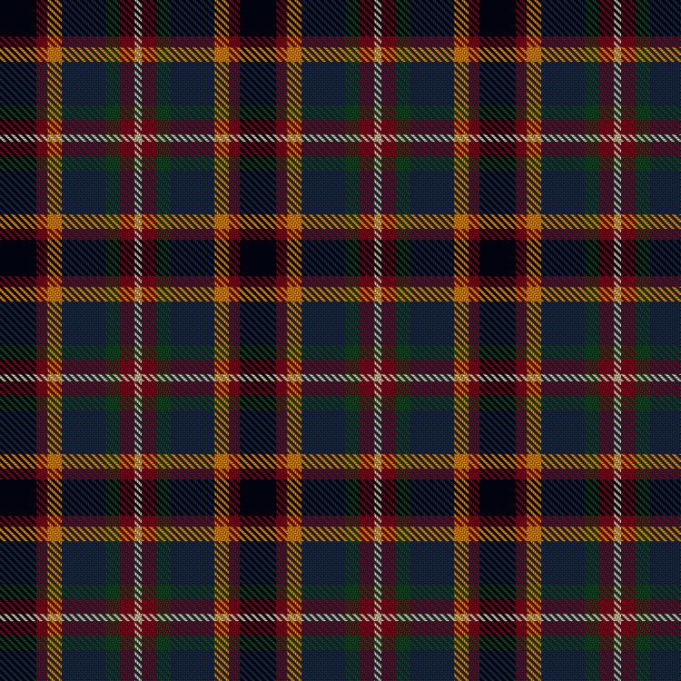 Tartan image: Eichelberger Family, Jörg (Personal). Click on this image to see a more detailed version.