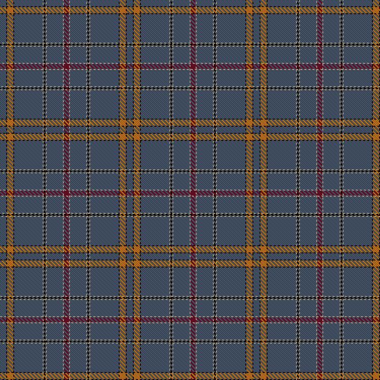 Tartan image: Historic Caledonian Railway Enthusiasts', The. Click on this image to see a more detailed version.