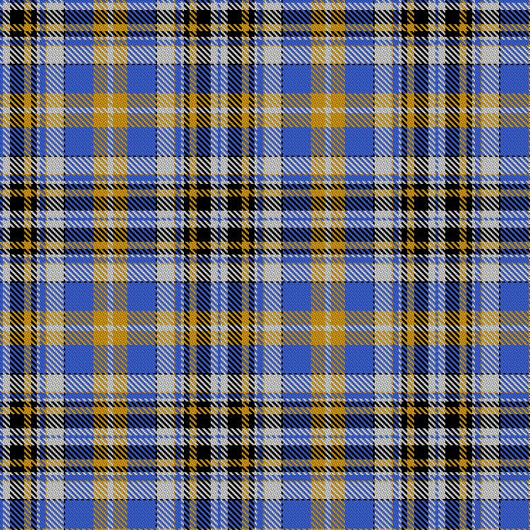 Tartan image: Dinarzh: Fortress of the Bear. Click on this image to see a more detailed version.