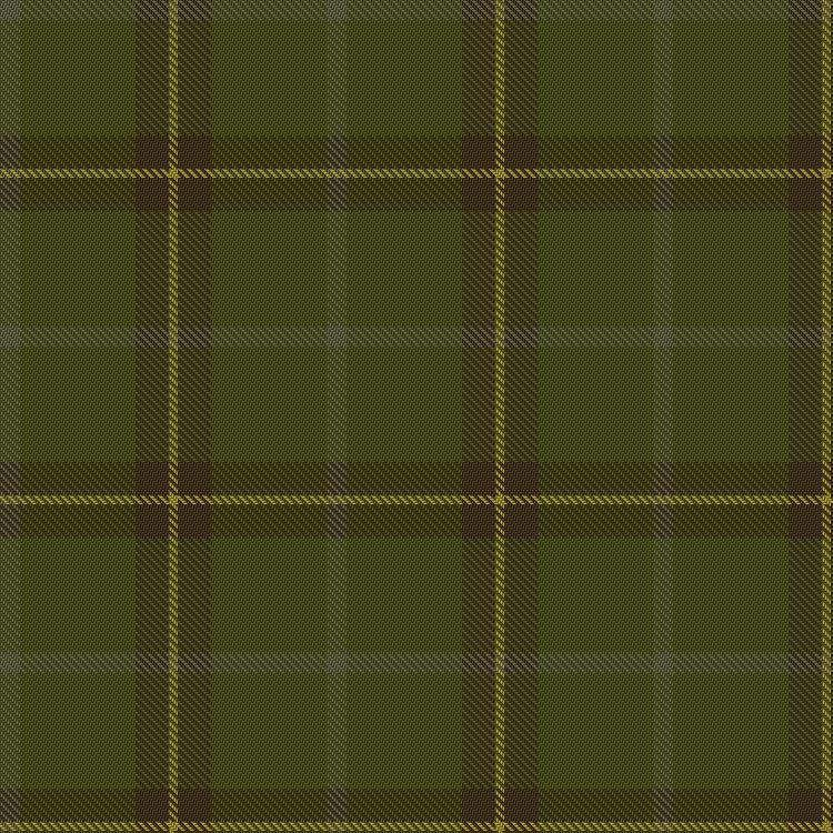 Tartan image: McGuigan, Julia (St Monans, Fife) (Personal). Click on this image to see a more detailed version.