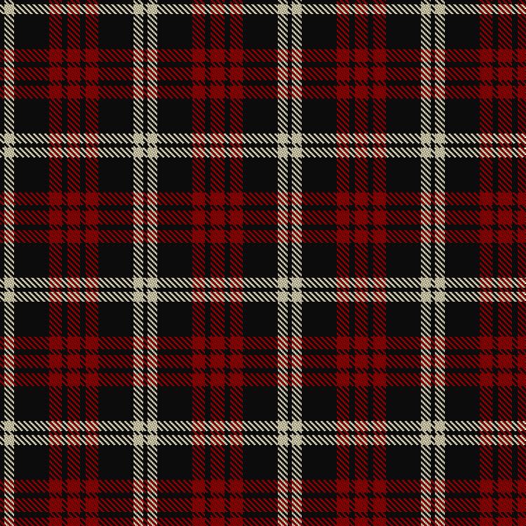 Tartan image: Knights Breton. Click on this image to see a more detailed version.