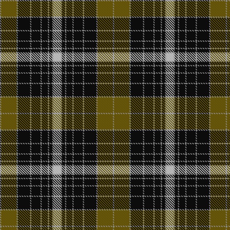 Tartan image: Liberty Square. Click on this image to see a more detailed version.