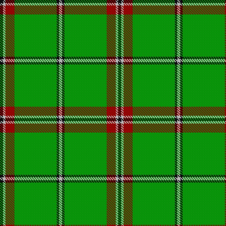 Tartan image: Tahrir (Liberation). Click on this image to see a more detailed version.