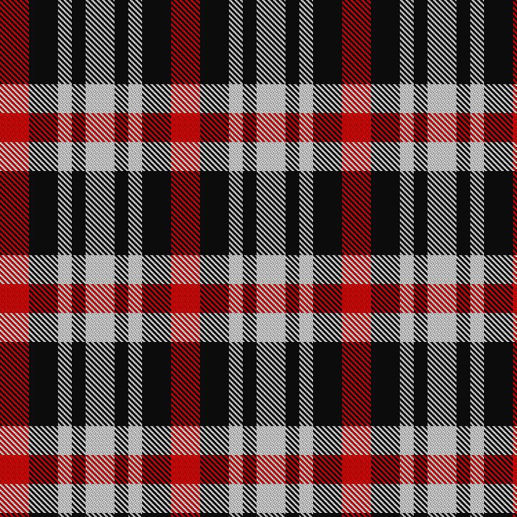 Tartan image: Havel. Click on this image to see a more detailed version.