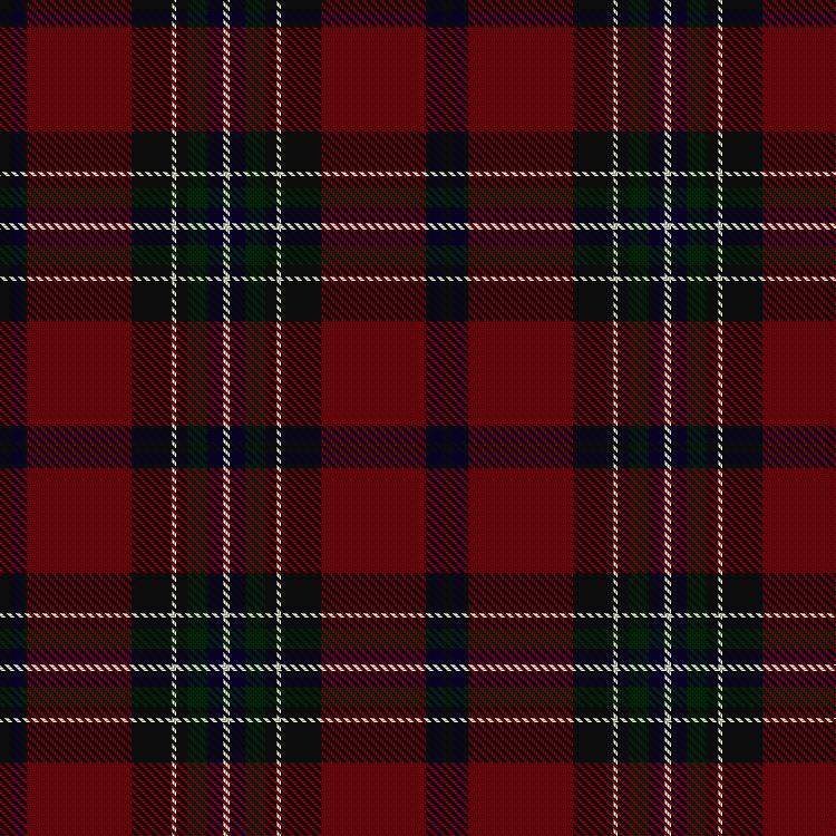 Tartan image: Rikaco Holiday. Click on this image to see a more detailed version.