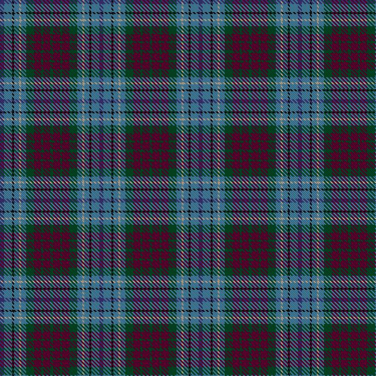 Tartan image: DunBroch. Click on this image to see a more detailed version.