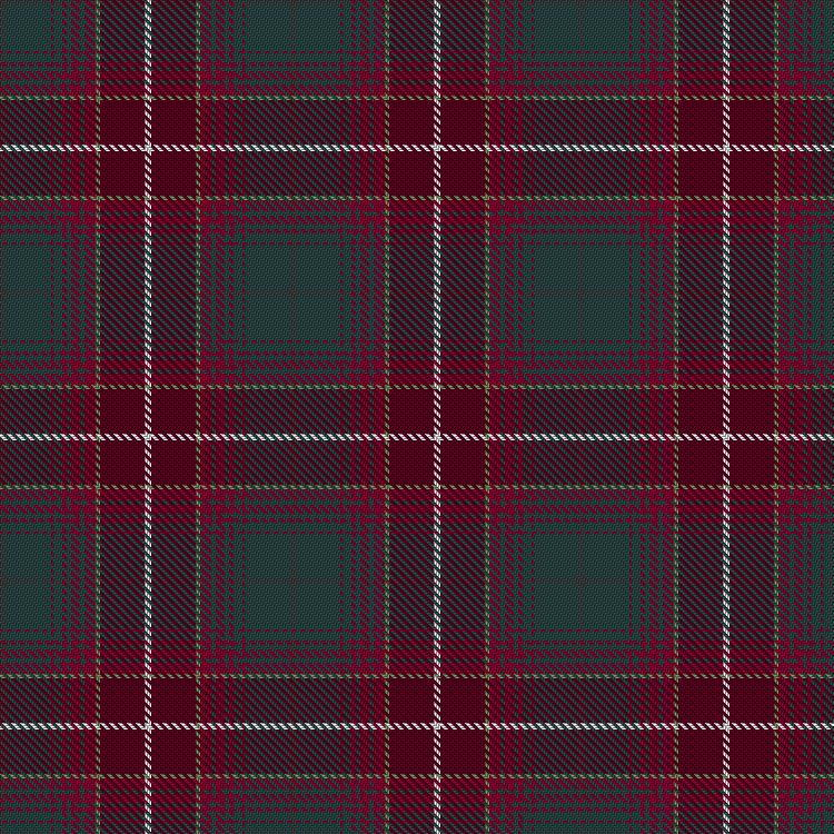 Tartan image: Ryutokukan High School. Click on this image to see a more detailed version.