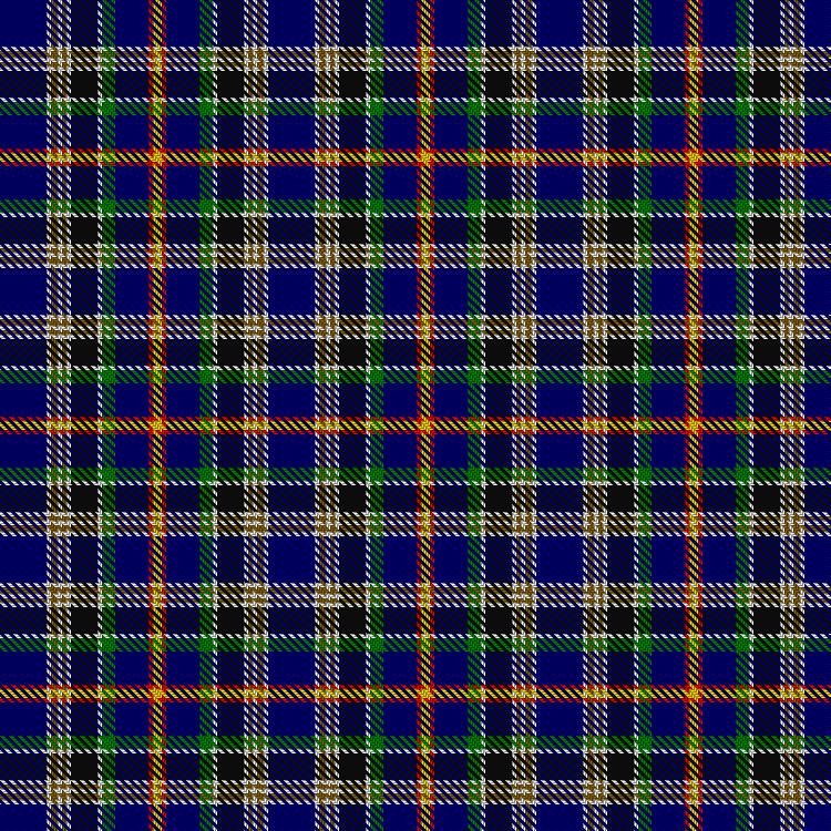 Tartan image: Robitaille, Jean-Francois (Personal). Click on this image to see a more detailed version.