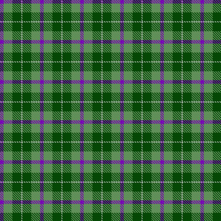 Tartan image: Thistle and Kudzu Scottish Society. Click on this image to see a more detailed version.