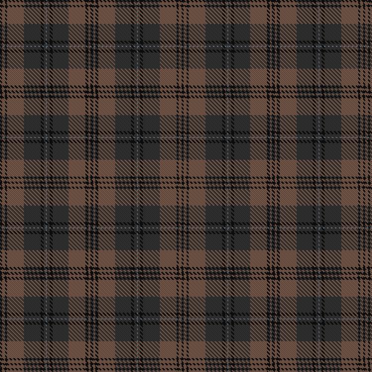 Tartan image: Brave for Men. Click on this image to see a more detailed version.