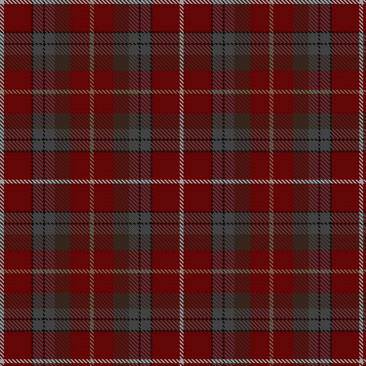 Tartan image: East Kilbride #1. Click on this image to see a more detailed version.