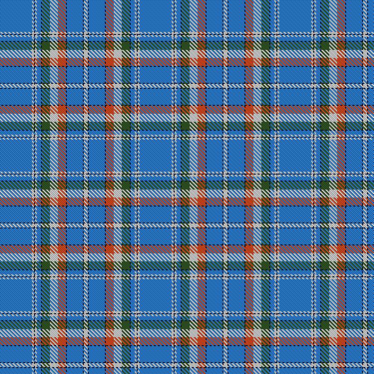 Tartan image: Spirit of India. Click on this image to see a more detailed version.